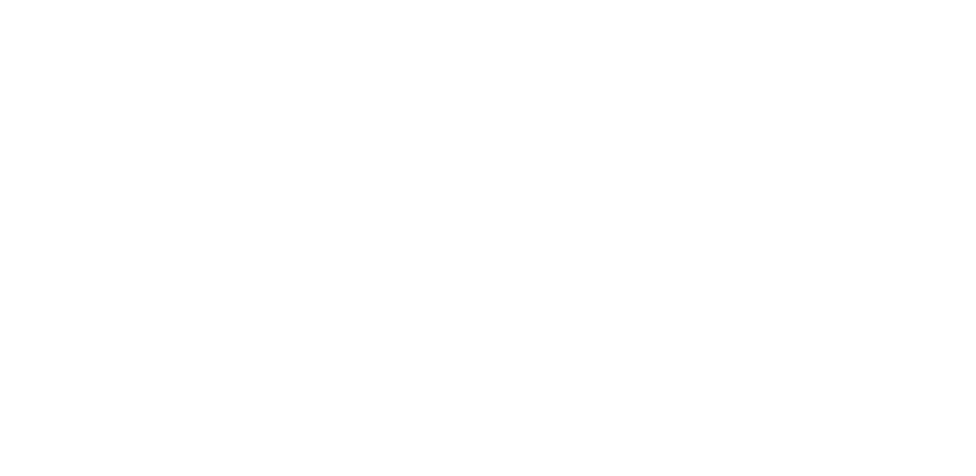 logo tony veiculos